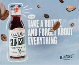 Slingshot — 300×250 banner, frame 3 of 4